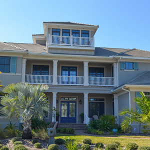 Sea Colony